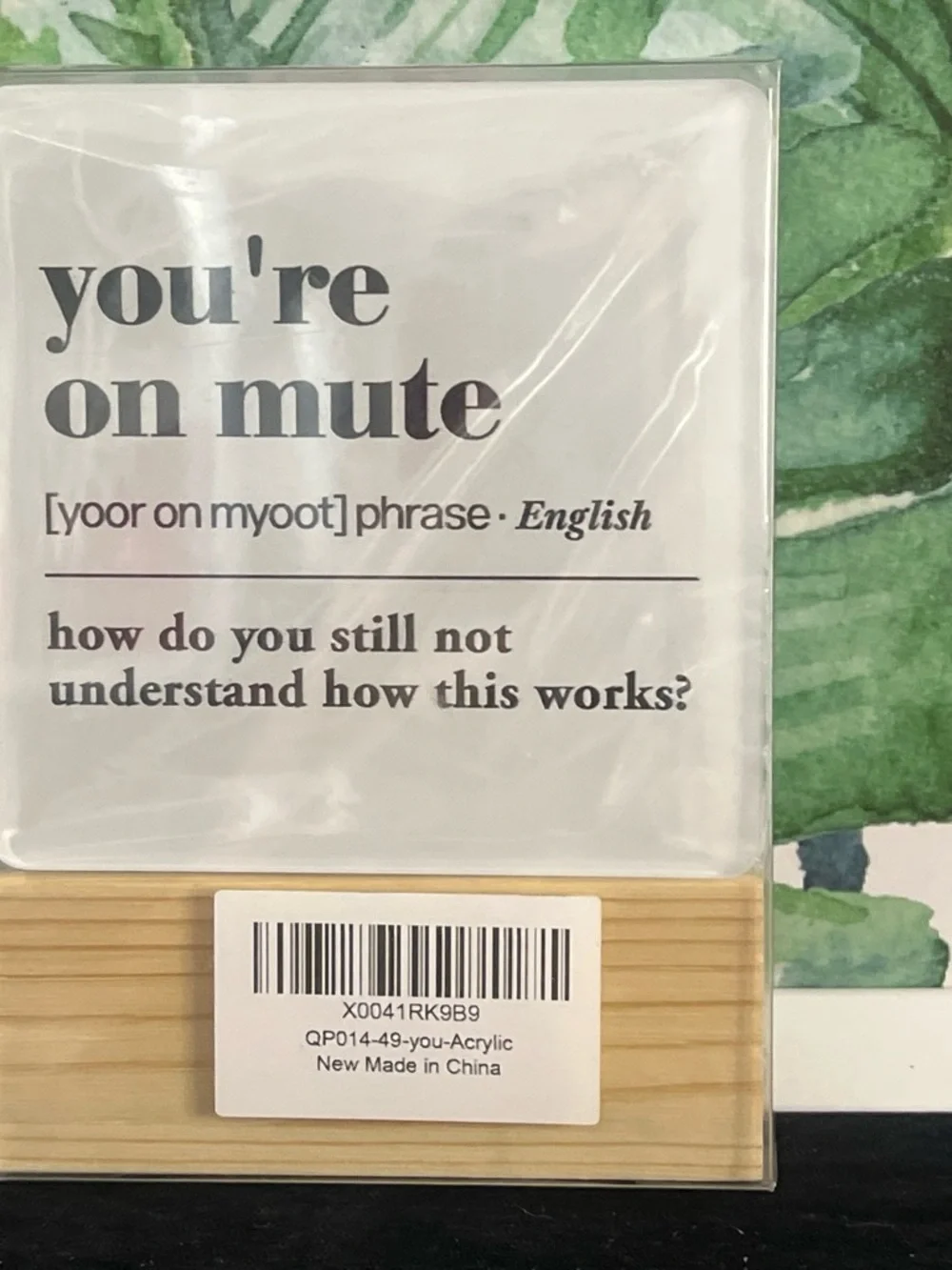 You're On Mute Acrylic Desk Sign with Natural Wood Base - White